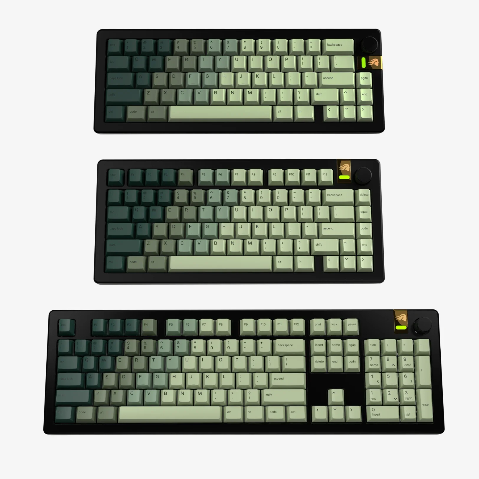 GPBT Alpine Forest - Image 4